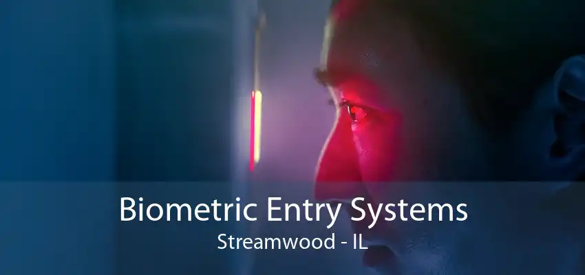 Biometric Entry Systems Streamwood - IL