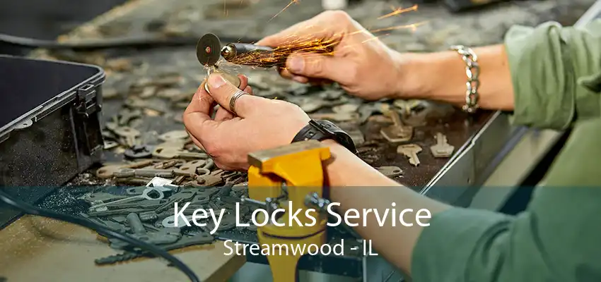 Key Locks Service Streamwood - IL