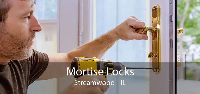 Mortise Locks Streamwood - IL